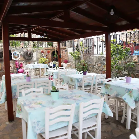 Ebruli Tenedos