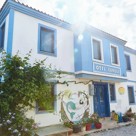 Ebruli Tenedos